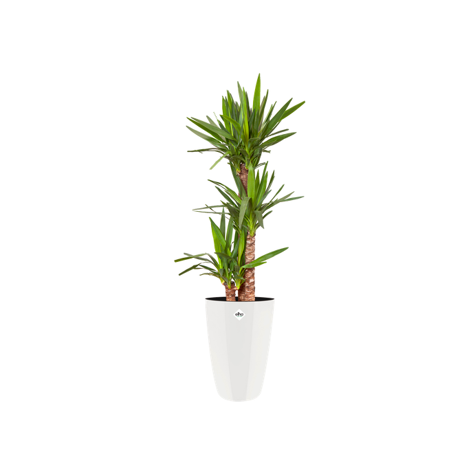 brussels diamond rund hoch 32cm weiss